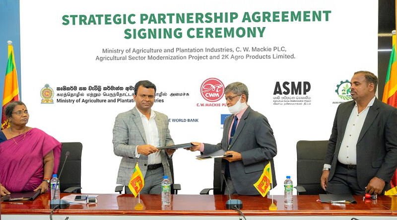 දේශීය කෘෂි ආර්ථිකය ඉහළ නැංවීමේ ජාතික මෙහෙවරට උර දීමට සී. ඩබ්ලිව්. මැකී පීඑල්සී සමාගම ජම්බෝ රටකජු වගා ව්‍යාපෘතිය හා ගිවිසුම්ගත වෙයි