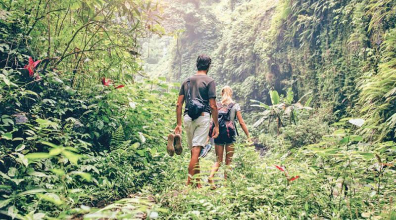 සිය දිවි නසා ගත් තරුණ යුවළ