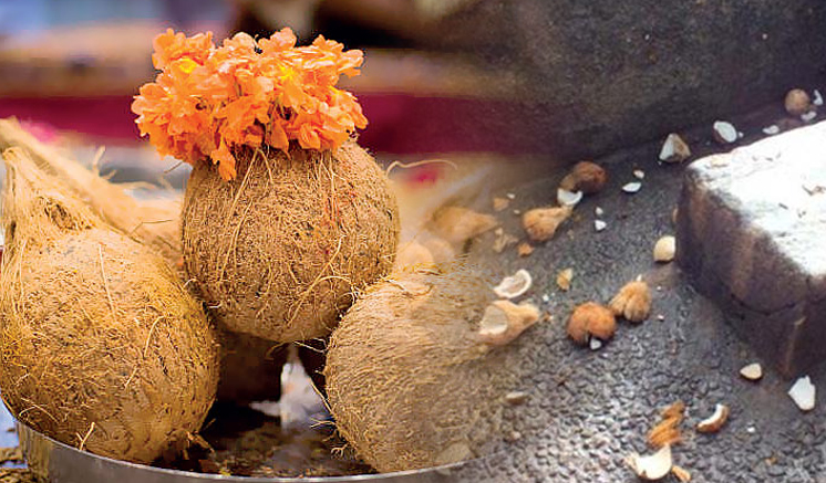 කතරගම දේවාලයේ පොල් ගැසීම 90%කින් පහළට