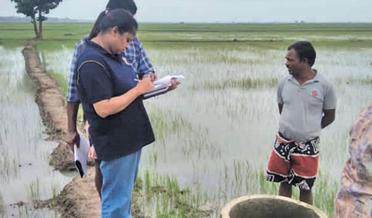 මහ කන්නයේ වගාහානි වන්දී ලේඛන නිකුත් කිරීම ඇරඹේ මහ කන්නයේ වගාහානි වන්දී ලේඛන නිකුත් කිරීම ඇරඹේ