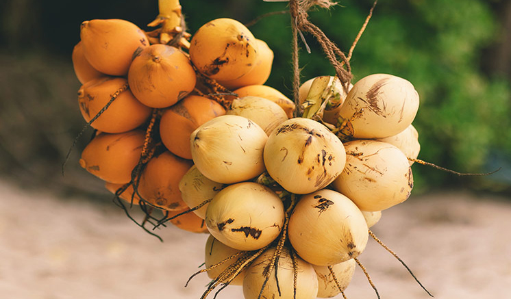 පොල් මදිවට තැඹිලිත් ගිනි ගණන්!
