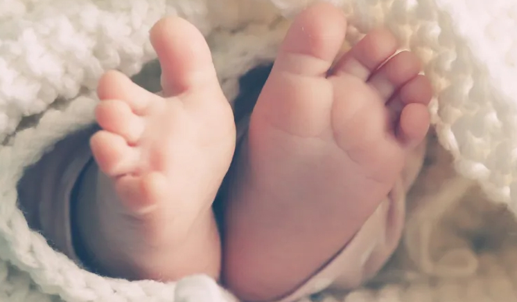 දෙමව්පියන්ගේ නොසැලකිල්ල සිඟිත්තාට දිවි අහිමි කරයි දෙමව්පියන්ගේ නොසැලකිල්ල සිඟිත්තාට දිවි අහිමි කරයි