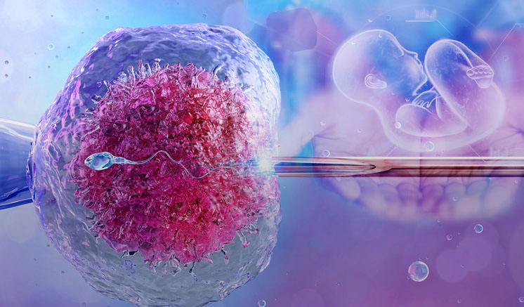 IVF තාක්ෂණයෙන් කළ පළමු ගැබ් ගැන්වීම සාර්ථකයි