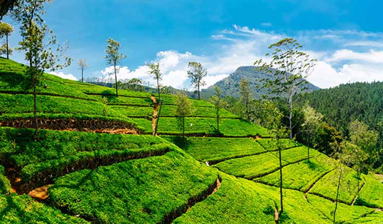 නුවරඑළිය හොඳම ආසියානු කඳුකර ගමනාන්ත ලැයිස්තුවට