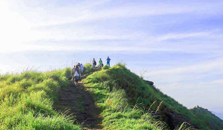 ‘දිට්වා’ නිසා වසා දැමූ රිවස්ටන් යළි විවෘතයි ‘දිට්වා’ නිසා වසා දැමූ රිවස්ටන් යළි විවෘතයි