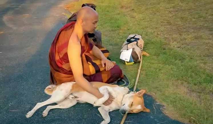 සාම පාගමන හේතුවෙන් අද කොළඹ එන සියලු දෙනාට විශේෂ නිවේදනයක්